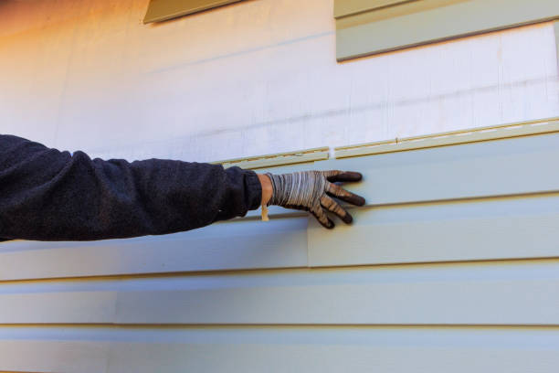 Best Siding Removal and Disposal  in Greenwood, MO